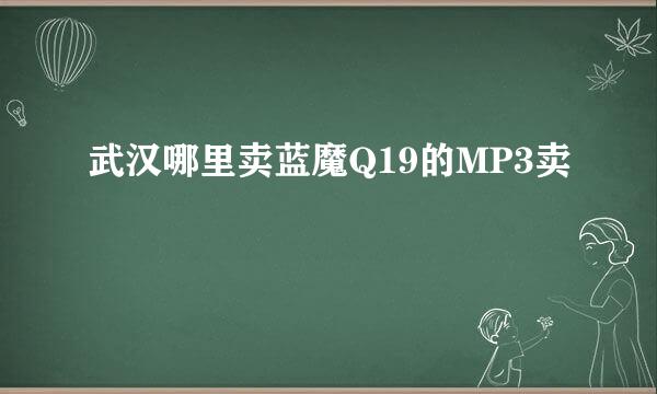 武汉哪里卖蓝魔Q19的MP3卖