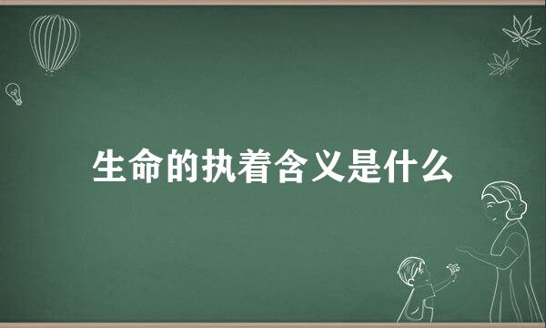 生命的执着含义是什么