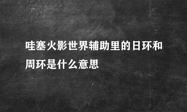 哇塞火影世界辅助里的日环和周环是什么意思