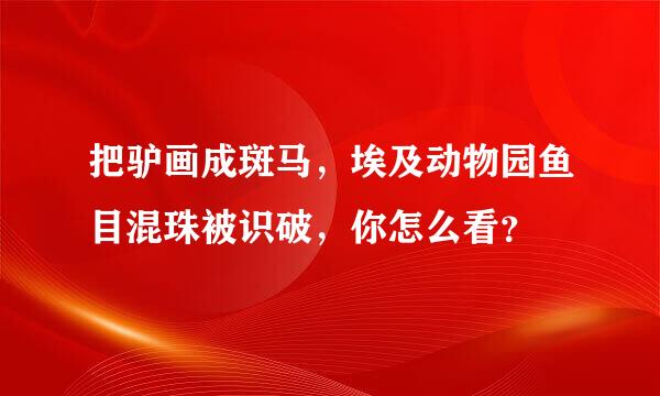 把驴画成斑马，埃及动物园鱼目混珠被识破，你怎么看？