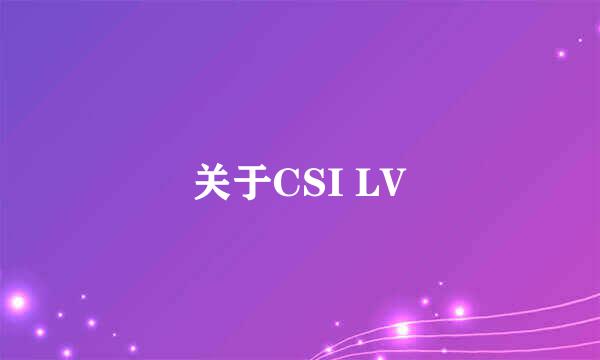 关于CSI LV