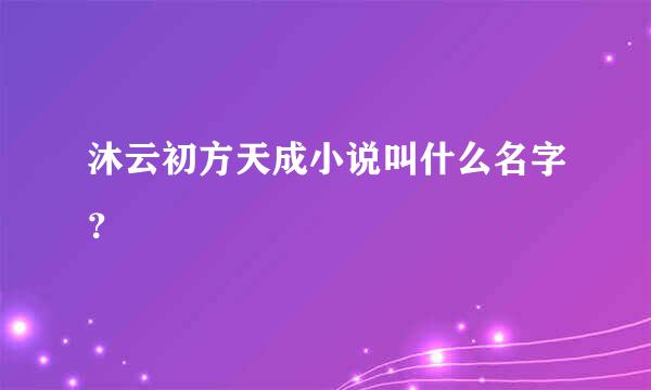 沐云初方天成小说叫什么名字？