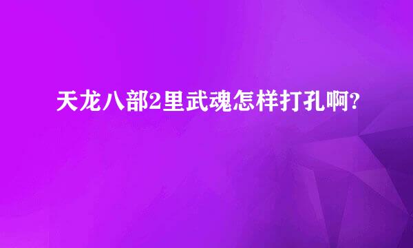 天龙八部2里武魂怎样打孔啊?