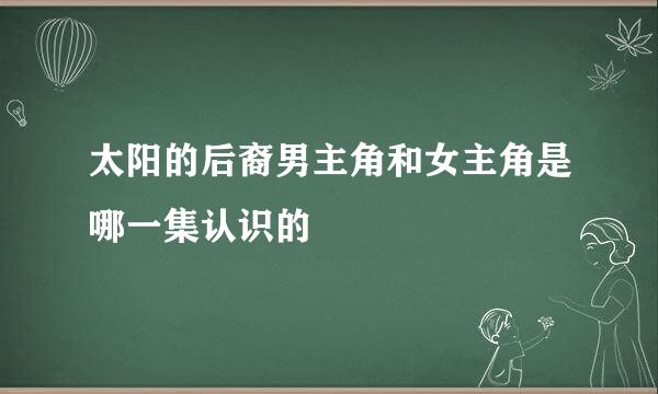 太阳的后裔男主角和女主角是哪一集认识的