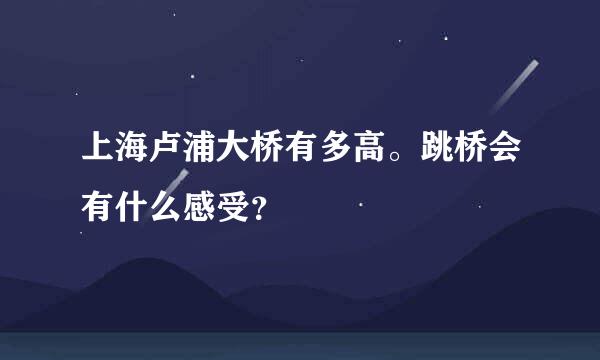 上海卢浦大桥有多高。跳桥会有什么感受？