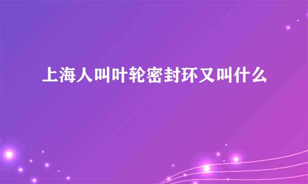 上海人叫叶轮密封环又叫什么