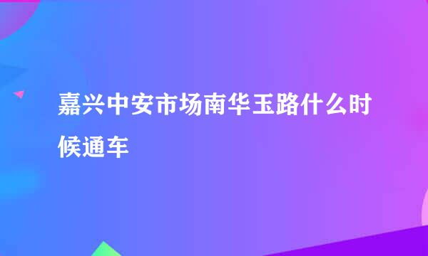 嘉兴中安市场南华玉路什么时候通车