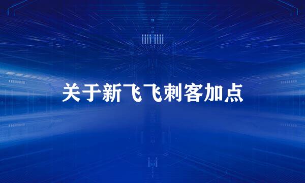 关于新飞飞刺客加点