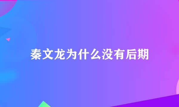 秦文龙为什么没有后期