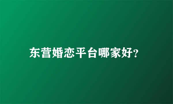 东营婚恋平台哪家好？