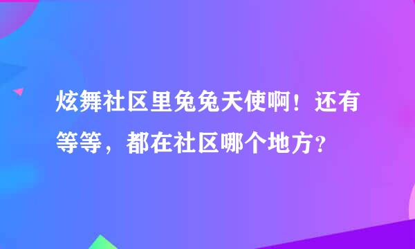 炫舞社区里兔兔天使啊！还有等等，都在社区哪个地方？