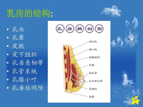 乳汁的意思是什么