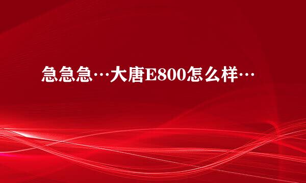 急急急…大唐E800怎么样…