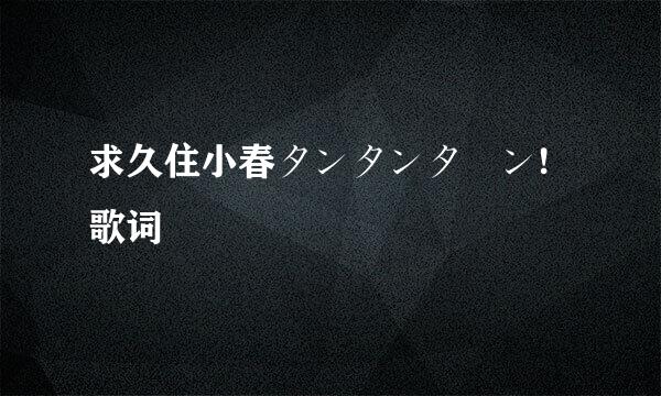 求久住小春タンタンターン!歌词