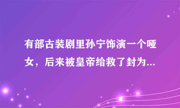 有部古装剧里孙宁饰演一个哑女，后来被皇帝给救了封为暗妃，请问那部剧叫什么名字