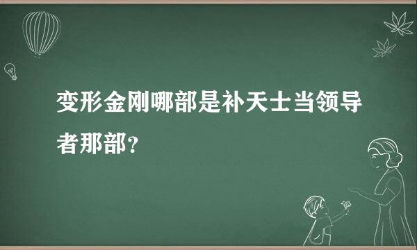 变形金刚哪部是补天士当领导者那部？