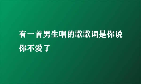 有一首男生唱的歌歌词是你说你不爱了