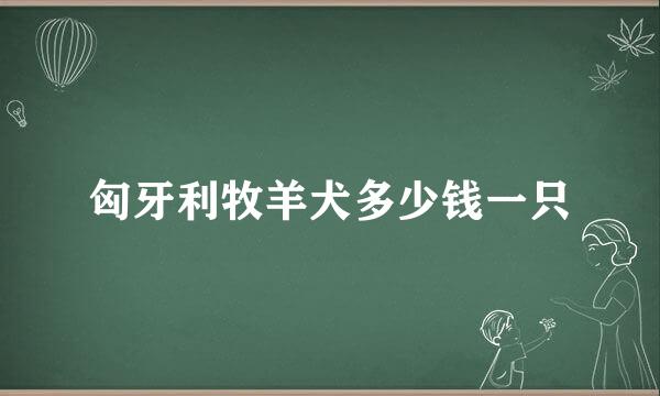 匈牙利牧羊犬多少钱一只