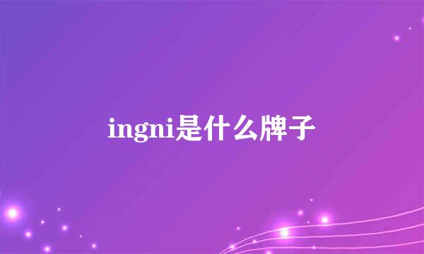 ingni是什么牌子