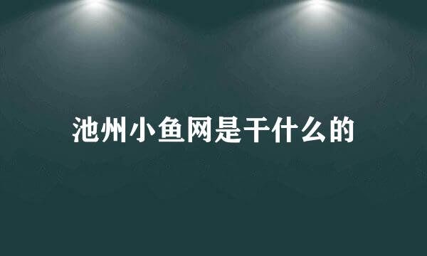 池州小鱼网是干什么的