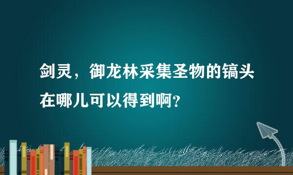 剑灵，御龙林采集圣物的镐头在哪儿可以得到啊？