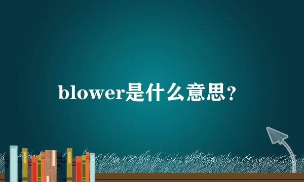 blower是什么意思？