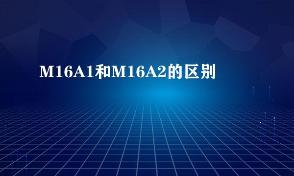 M16A1和M16A2的区别