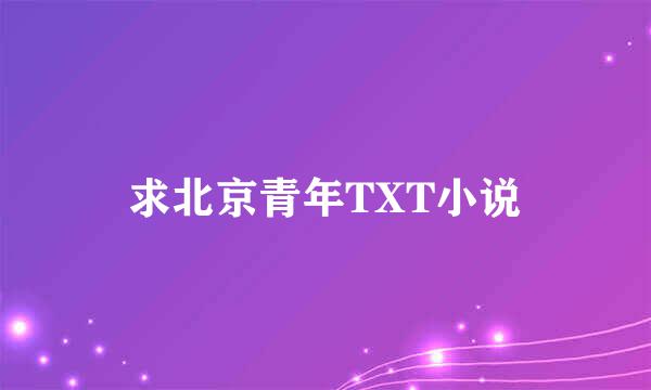 求北京青年TXT小说