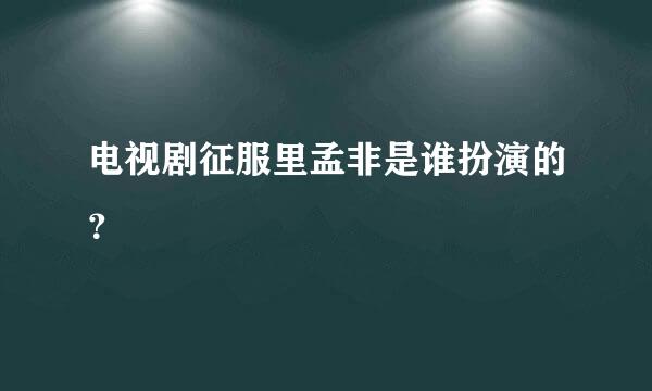 电视剧征服里孟非是谁扮演的？