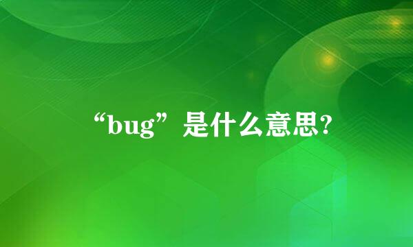 “bug”是什么意思?