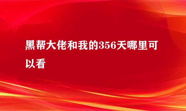 黑帮大佬和我的356天哪里可以看