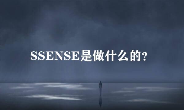 SSENSE是做什么的？