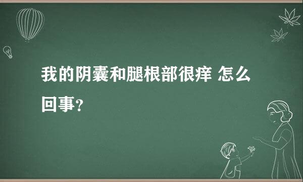 我的阴囊和腿根部很痒 怎么回事？