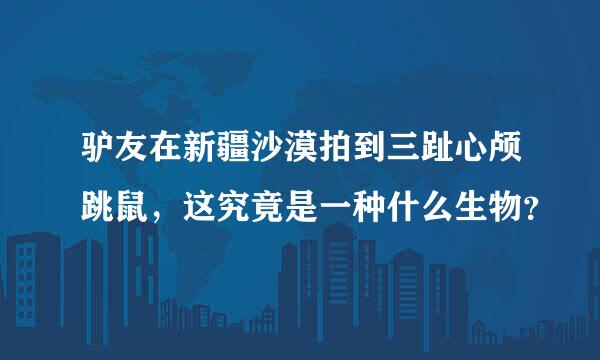 驴友在新疆沙漠拍到三趾心颅跳鼠，这究竟是一种什么生物？