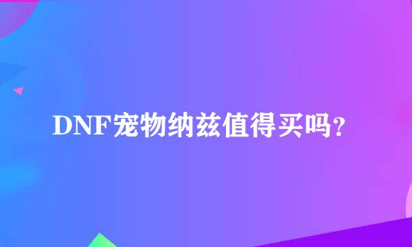 DNF宠物纳兹值得买吗？