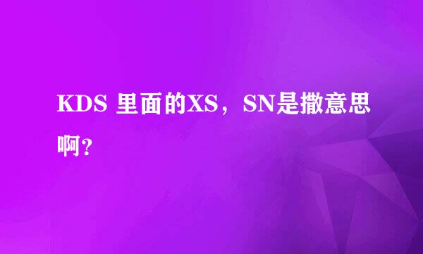 KDS 里面的XS，SN是撒意思啊？