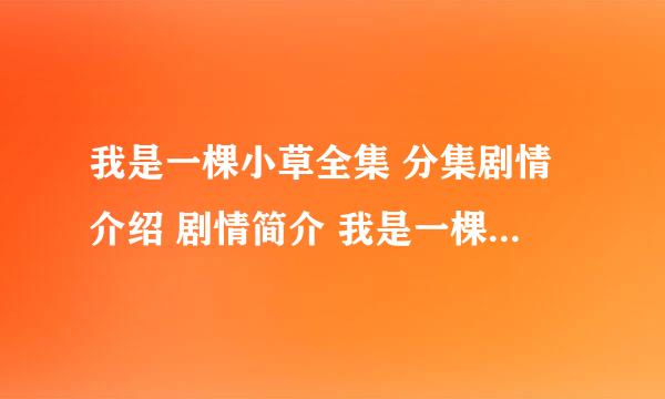 我是一棵小草全集 分集剧情介绍 剧情简介 我是一棵小草迅雷下载 在线播放