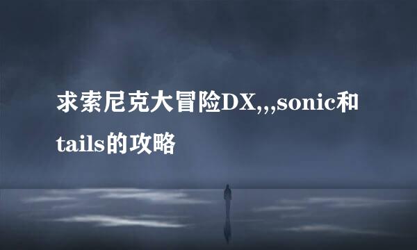 求索尼克大冒险DX,,,sonic和tails的攻略