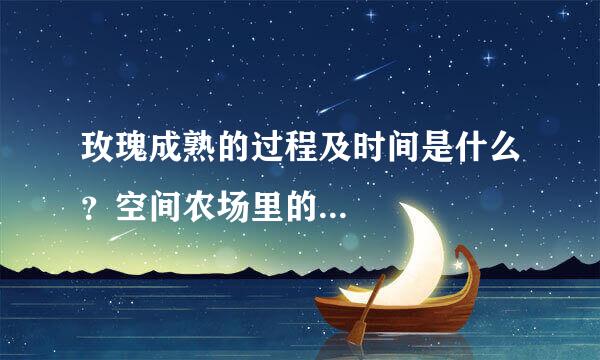 玫瑰成熟的过程及时间是什么？空间农场里的...