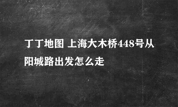 丁丁地图 上海大木桥448号从阳城路出发怎么走