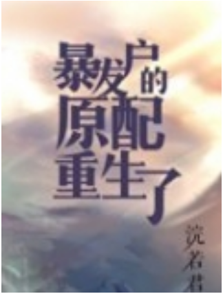 暴发户的前妻重生了[年代]_by浣若君_txt全文阅读，百度网盘免费下载