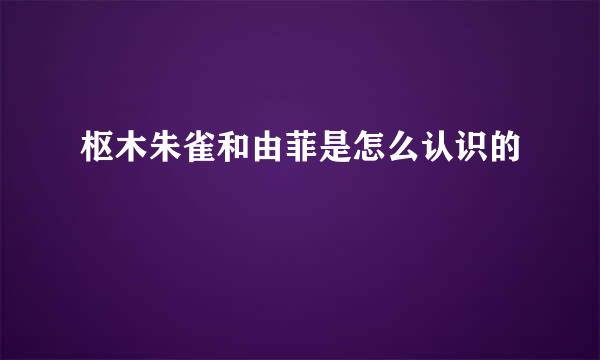 枢木朱雀和由菲是怎么认识的