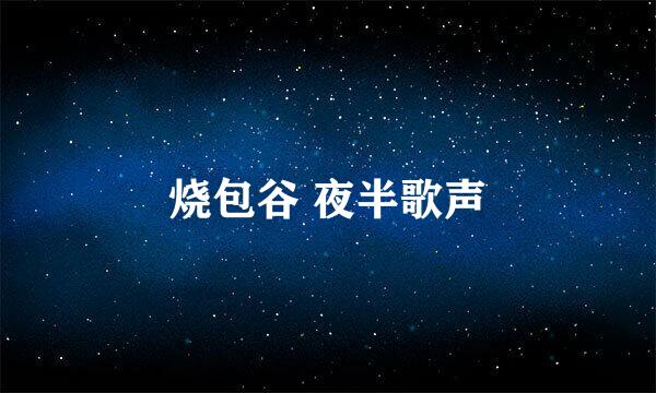 烧包谷 夜半歌声