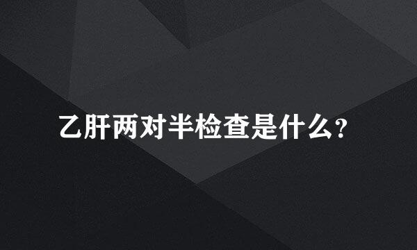 乙肝两对半检查是什么？