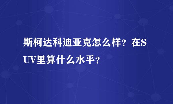 斯柯达科迪亚克怎么样？在SUV里算什么水平？