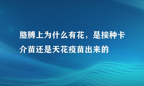 胳膊上为什么有花，是接种卡介苗还是天花疫苗出来的