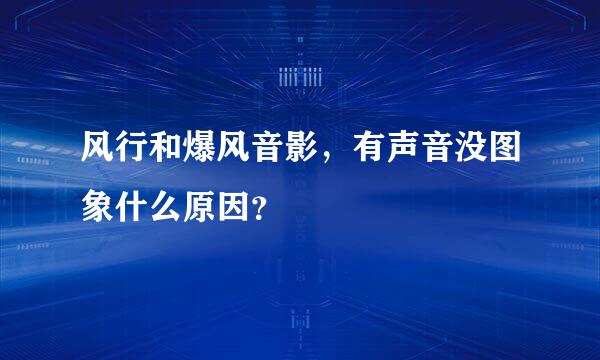 风行和爆风音影，有声音没图象什么原因？