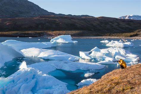 greenland是什么意思