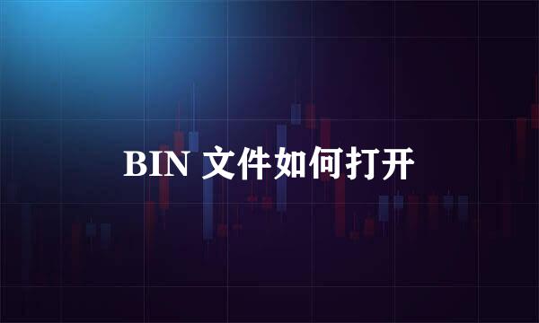 BIN 文件如何打开