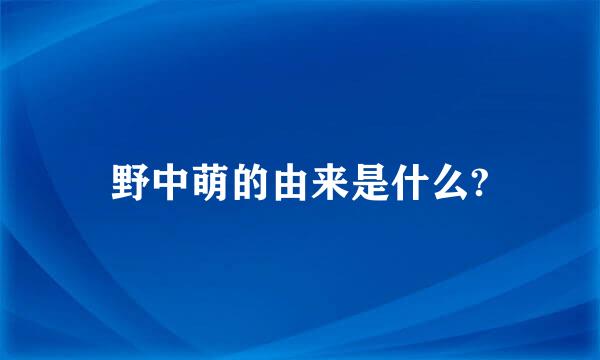 野中萌的由来是什么?